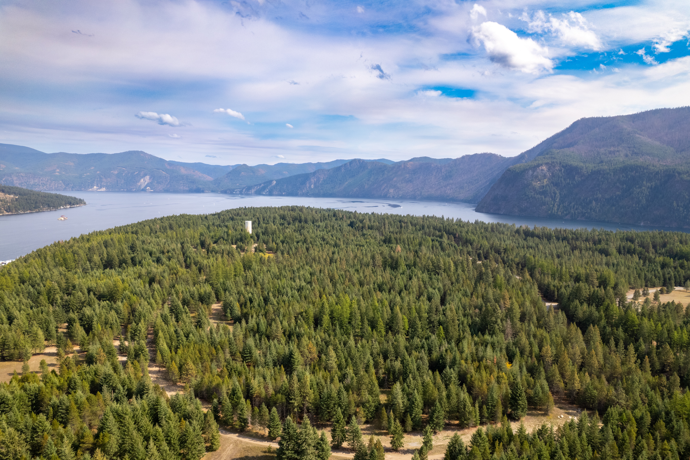 Bayview forest canopy toward Lake Pend Oreille, Jeremy Kitchen